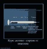 <a href='http://campwarcworlzil.narod.ru/komplektuyushie-dlya-elektronnyh.html'>комплектующие для электронных сигарет</a>