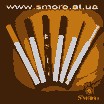 <a href='http://campwarcworlzil.narod.ru/o-elektronnyh-sigaretah.html'>врачи о электронных сигаретах</a>